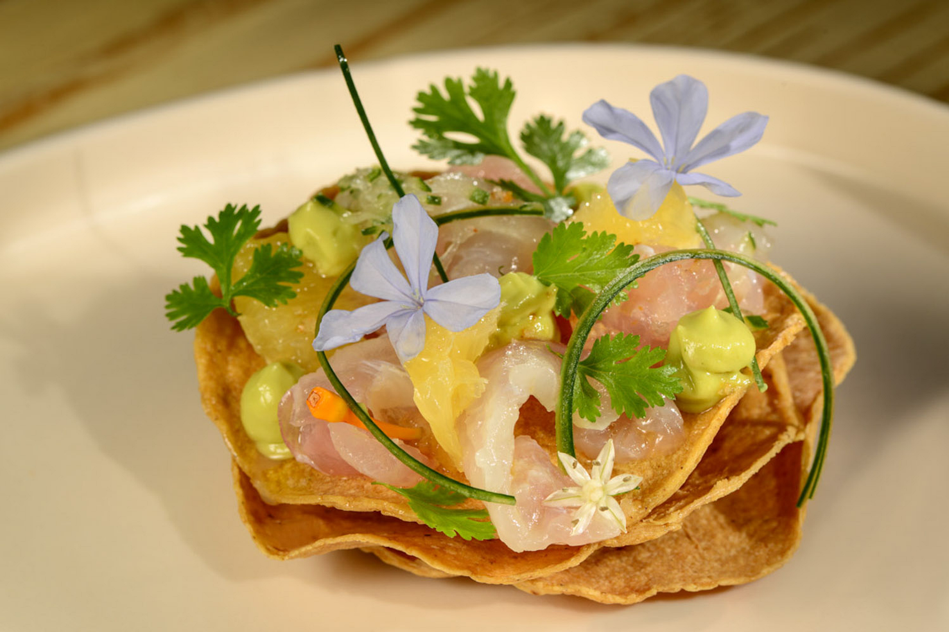 Activities & Day Trips